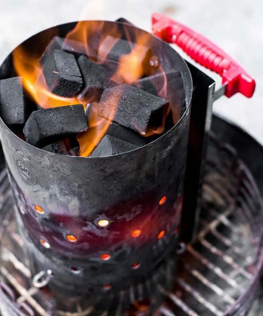 10kg ProQ Cocoshell Coconut Charcoal Briquettes for Grilling and Smoking