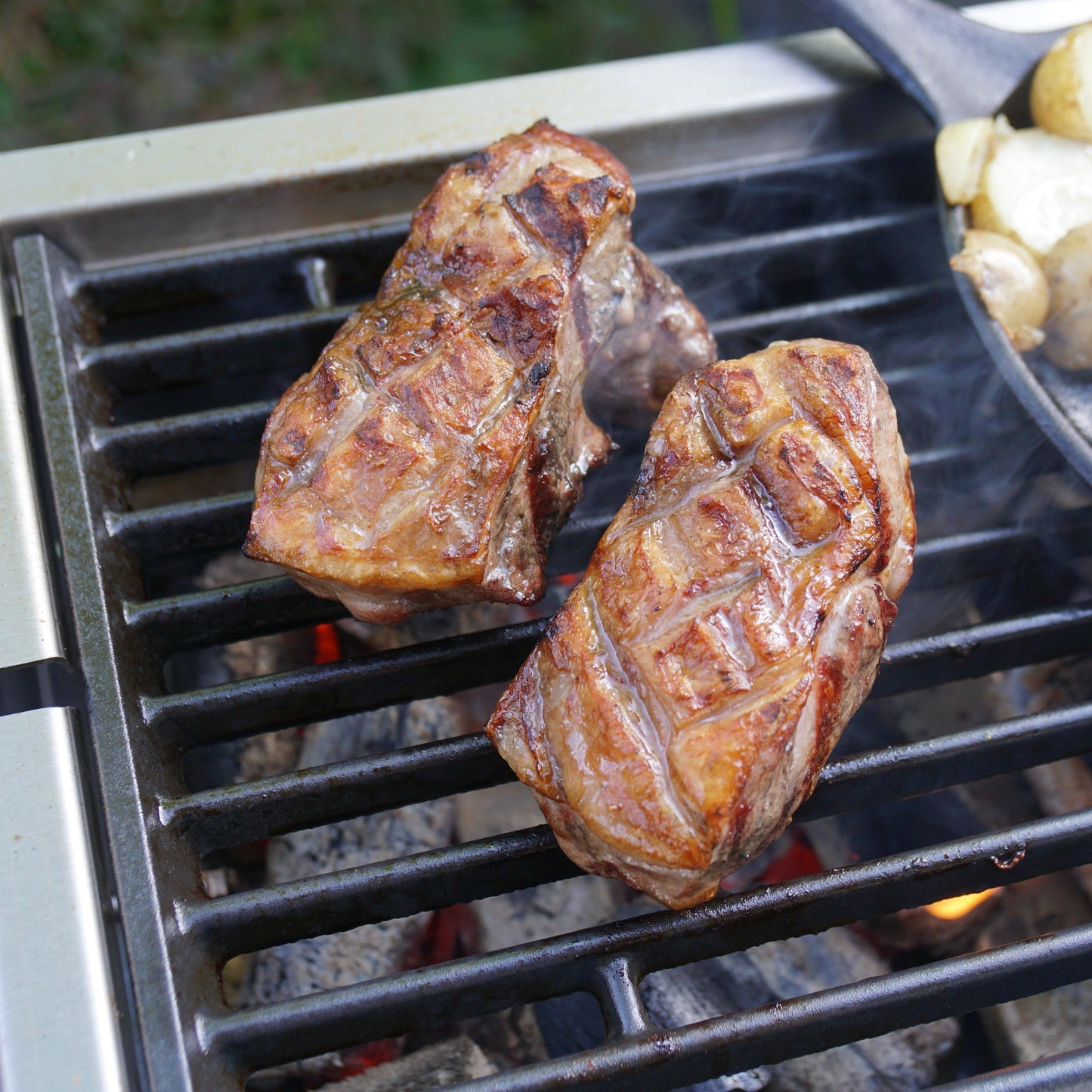 Durable Enamelled Cast Iron Cooking Grate for Thuros Pro BBQ Grill - 40cm x 23cm